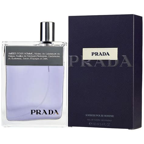 prada amber men fragrance notes|Prada amber 80ml best price.